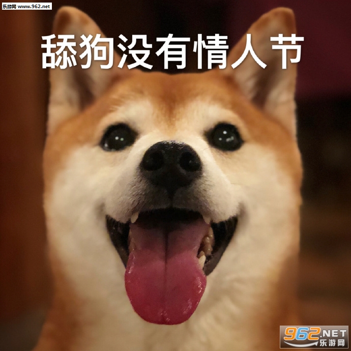 ���С��Ů��Ҫůjiojio�����ͼƬ��ͼ10