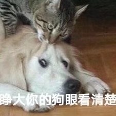 ����������ôԽ��Խ��˯�������ͼ4