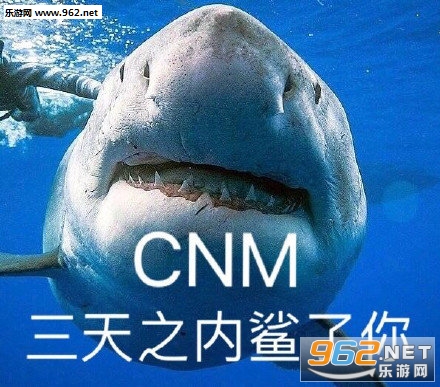 ����baby����������ͼ7