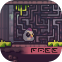 Reed (free)(�ҽ�«έ2)