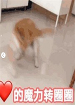 ����ħ��תȦȦ�����