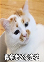 �����Ϲ�û�취�����
