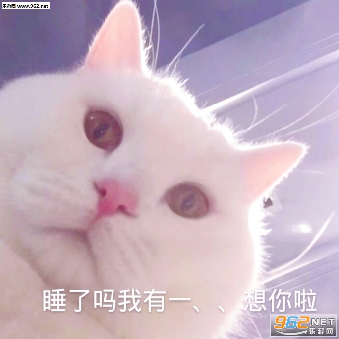 ��Ů������������ͼƬ��ͼ1