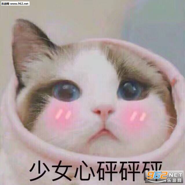 ��Ů������������ͼƬ��ͼ2