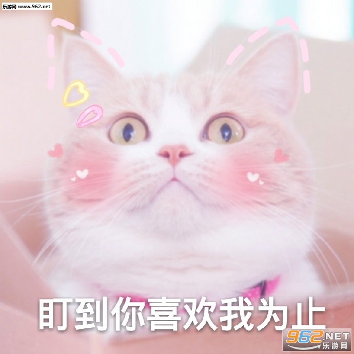 ��Ů������������ͼƬ��ͼ0