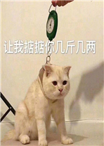 ��������˰ɱ����