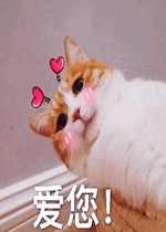 ��ͼ�����ɰ�è�����ı����