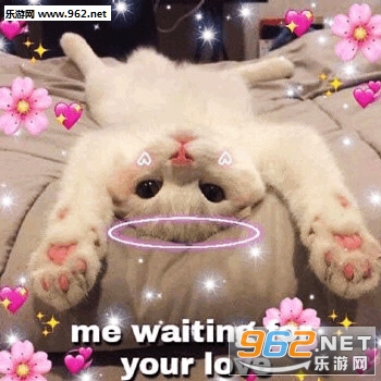 ��ͼ�����ɰ�è�����ı������ͼ1