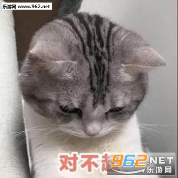 ��è��Ǹ���ֱ������ͼ6