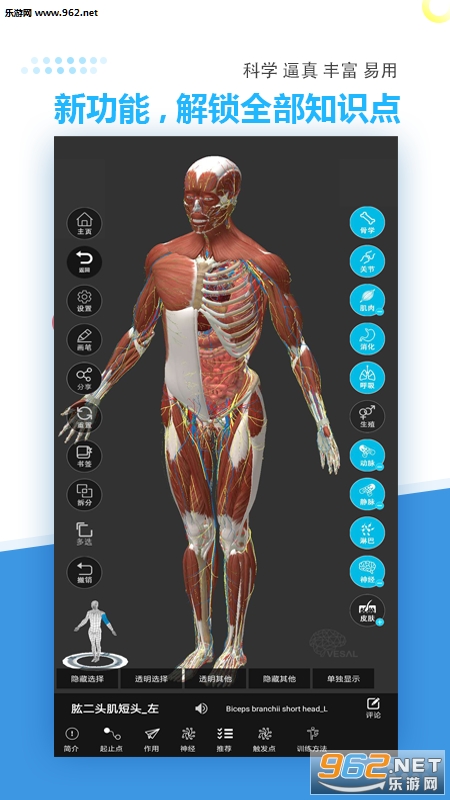 ά����3D�����ֻ����ͼ3