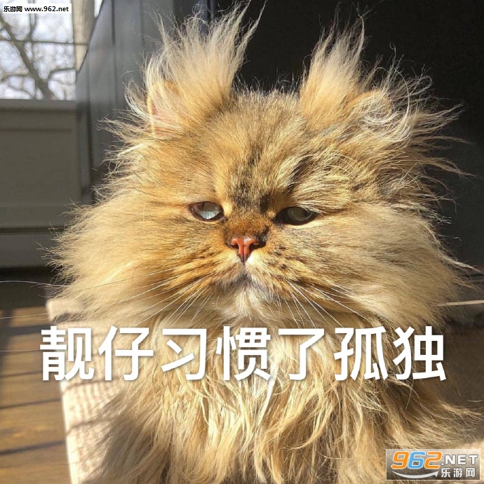 �ӹ�ͷ������������ͼƬ��ͼ2