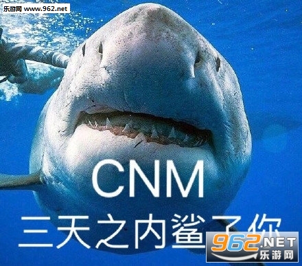 ��������˿��ס�ұ������ͼ0