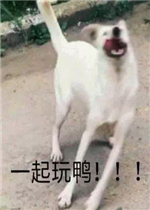 һ����Ѽ�����