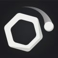 Newton Gravity Puzzle