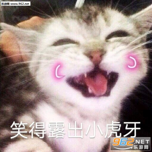 ������ʲô�ر����ͼƬ��ͼ6