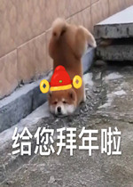 ���������������ݻ�ȥ�����ͼƬ