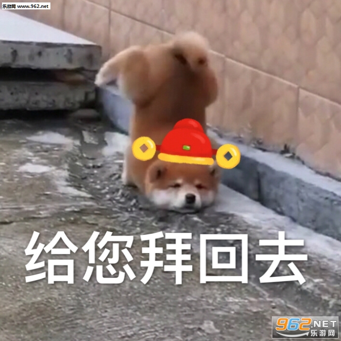 ���������������ݻ�ȥ�����ͼƬ��ͼ6