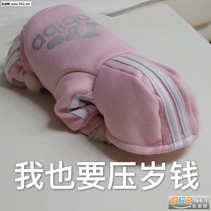 ���������������ݻ�ȥ�����ͼƬ��ͼ9