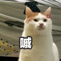 ����Ԫ��������è������