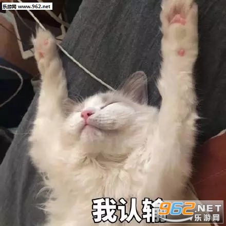 ����Ԫ��������è������