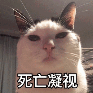 ����Ԫ��������è������