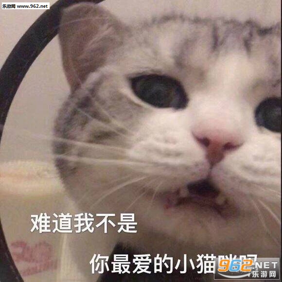��ֻ��һ���������������ֲ��ֶ�������