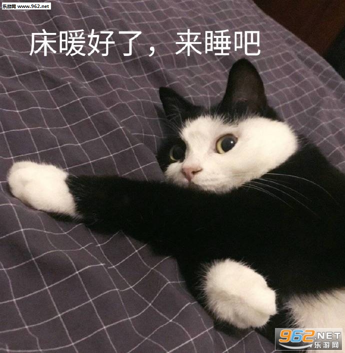 人不好色那还是人吗表情包 人不好色那还是人吗表情包