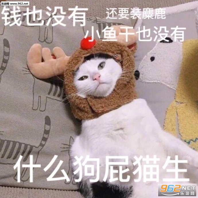 ����һ�����߱����
