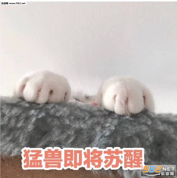 Ӯһ�Ѿ�˯����ͼ�����