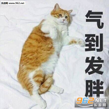 Ӯһ�Ѿ�˯����ͼ�����