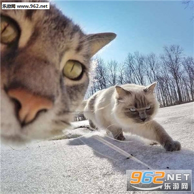 è�����ı����