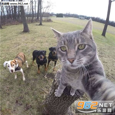 è�����ı����