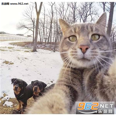 è�����ı����