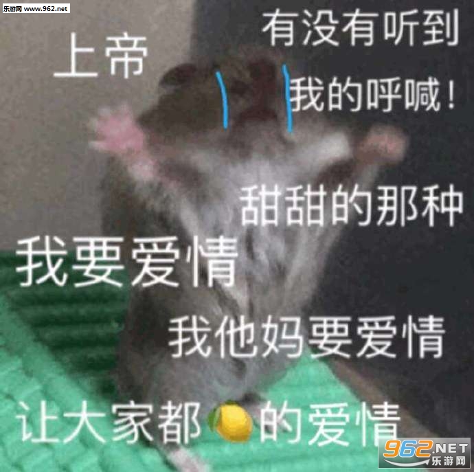 ���鲻���±����