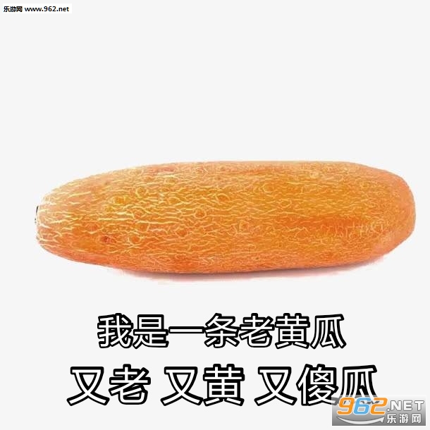 ����һ���ɿ��������