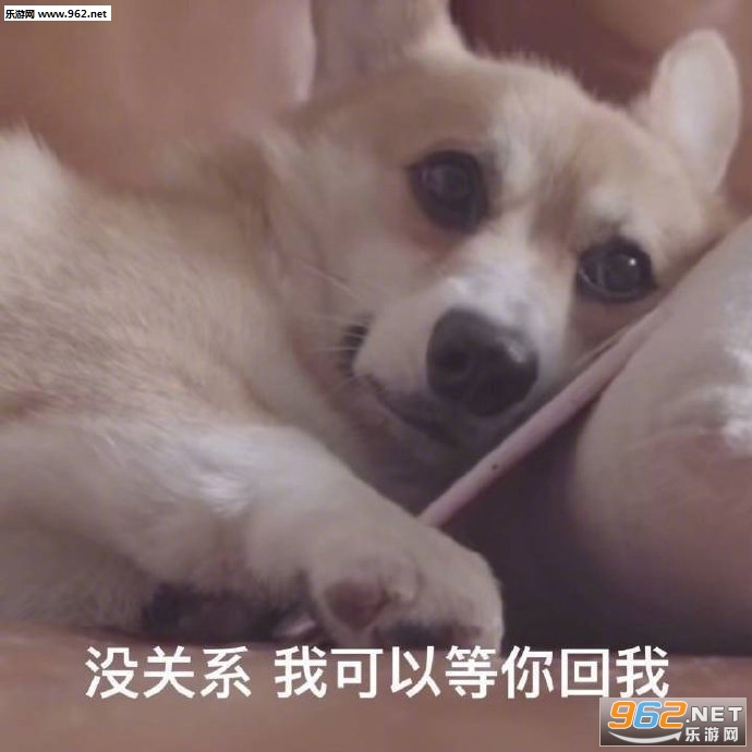 �򹷱����