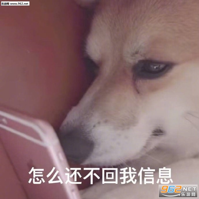�򹷱����