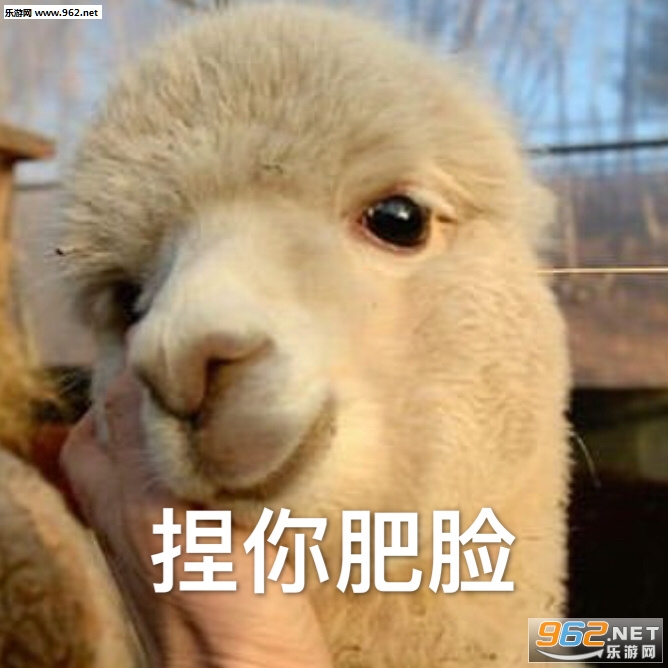 老公给我开开门表情包 老公给我开开门表情包