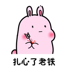 �����ñ����