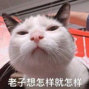 我不骚一点怎么配得上你啊表情包 我不骚一点怎么配得上你啊表情包
