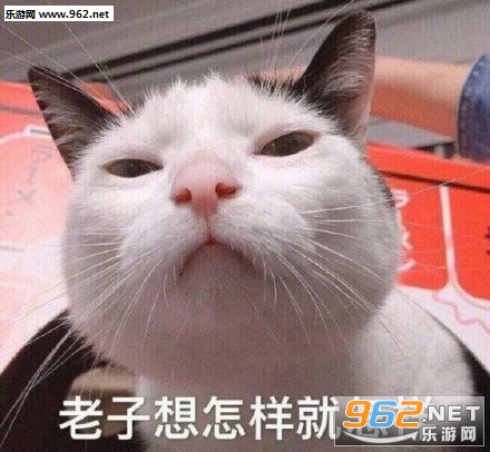 ������ţүү�����