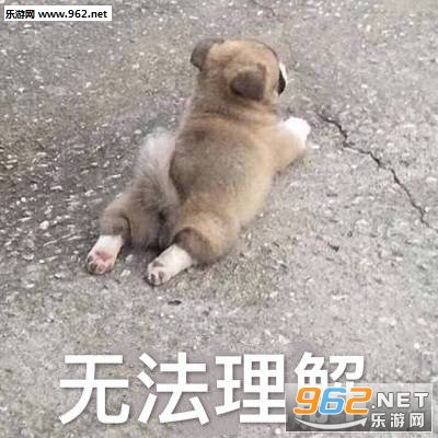 ��ʱһ��Ũü���۵�����·�����ӱ����
