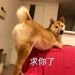 ��ʱһ��Ũü���۵�����·�����ӱ����