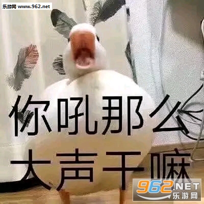 ��˵�˶�������