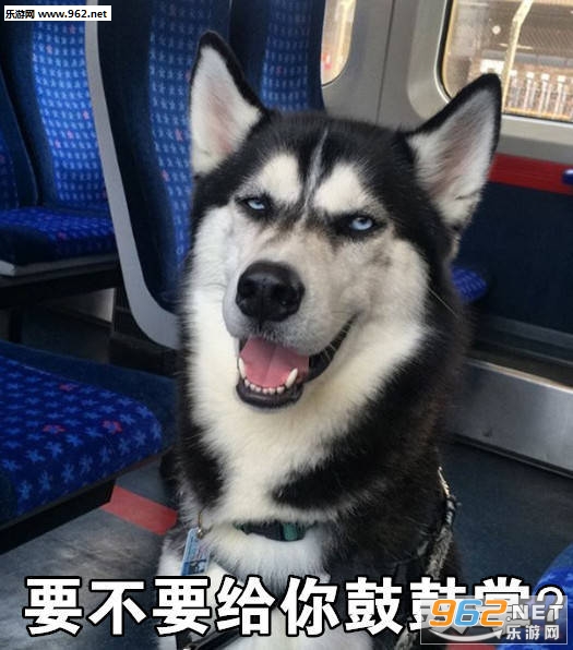 ���Ų�������������