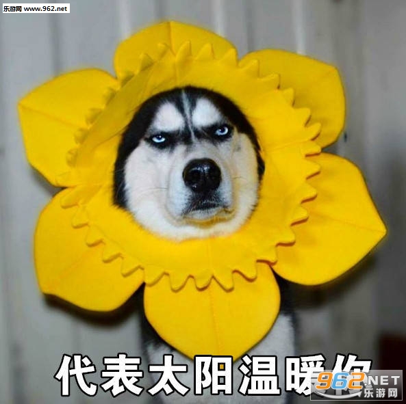 ���Ų�������������