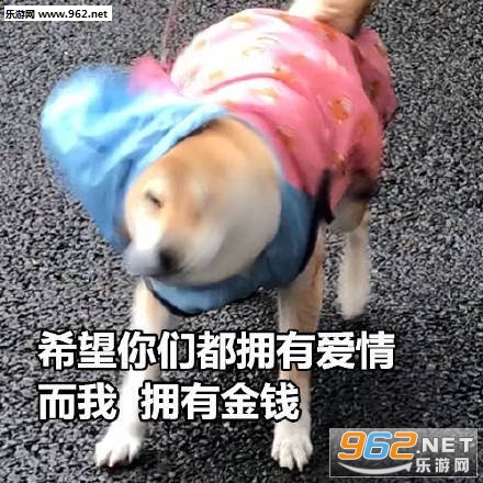 ����Ƥ��ħѽ�ִ������