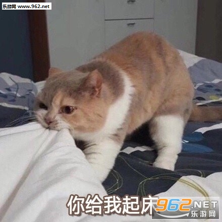 ������͸��ƶ��ͷ��ֱ����