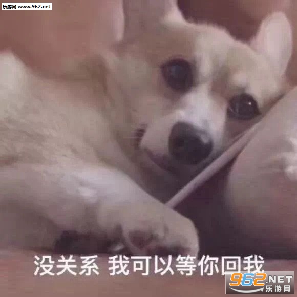 求求你了漂亮姐姐表情包 求求你了漂亮姐姐表情包