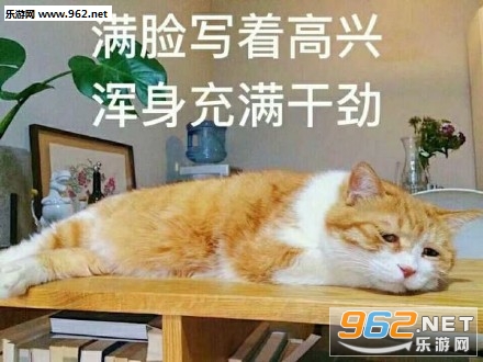 ����д�ű�������